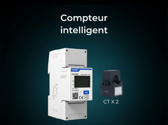SmartMeter monophasé (2 CT) pour Halo MS3000AC - HYXI